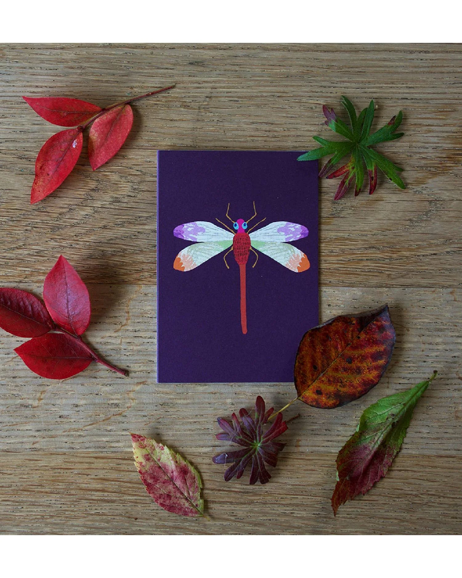 Dragonfly Mini Card - Image 2