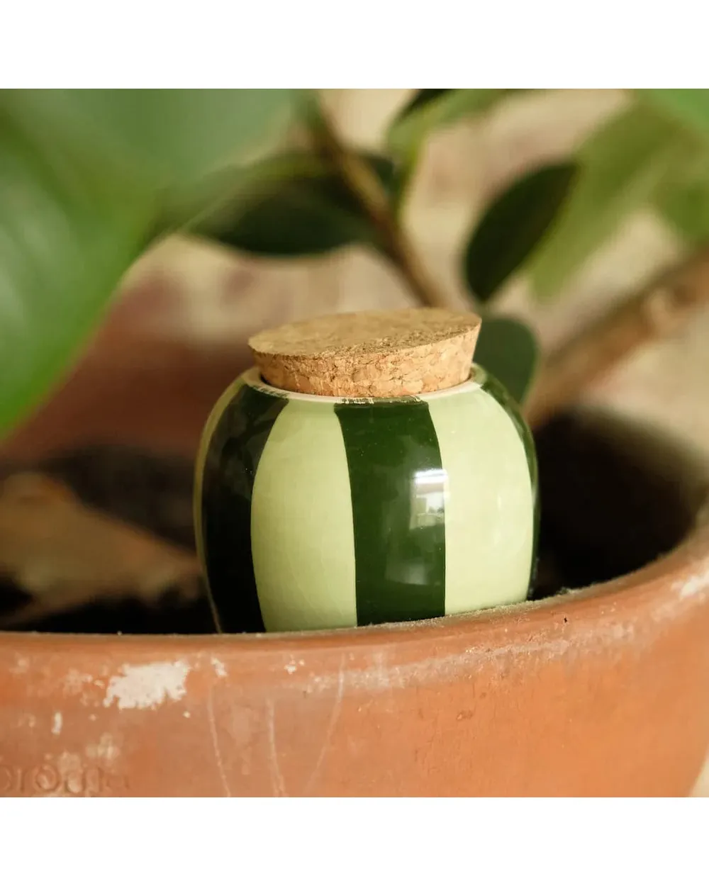Green Stripes Olla Watering System - Image 2
