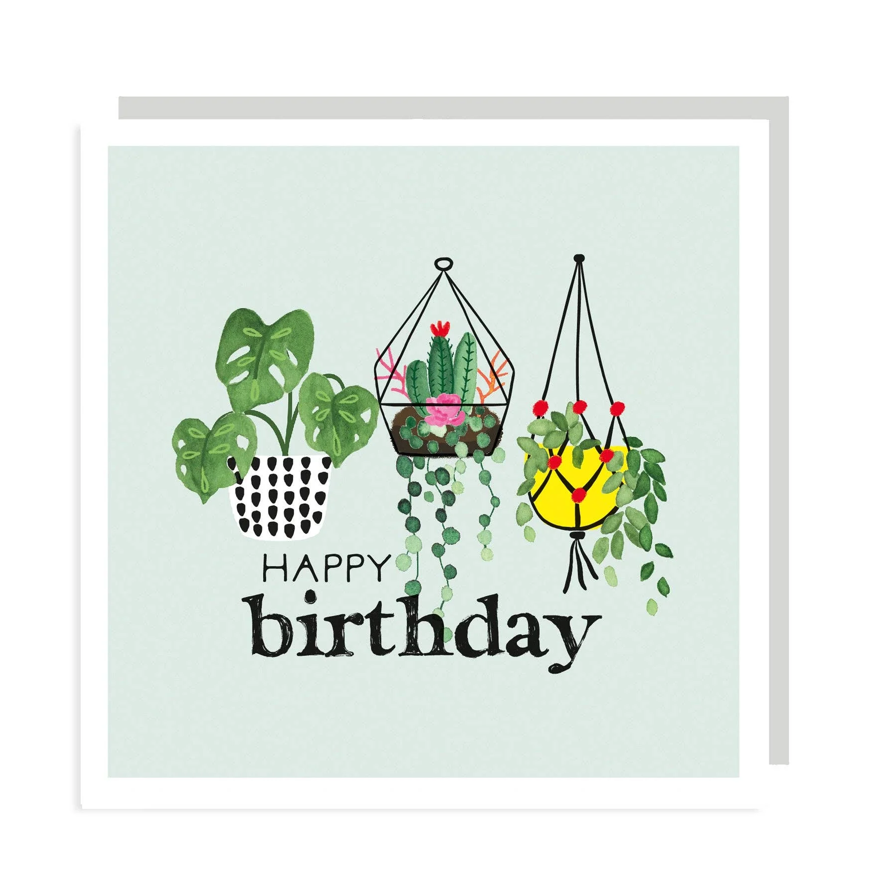 Happy Birthday - Hanging Plants