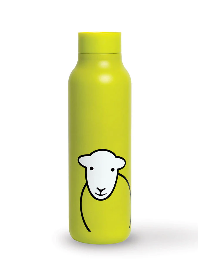 Hello Travel Flask Green