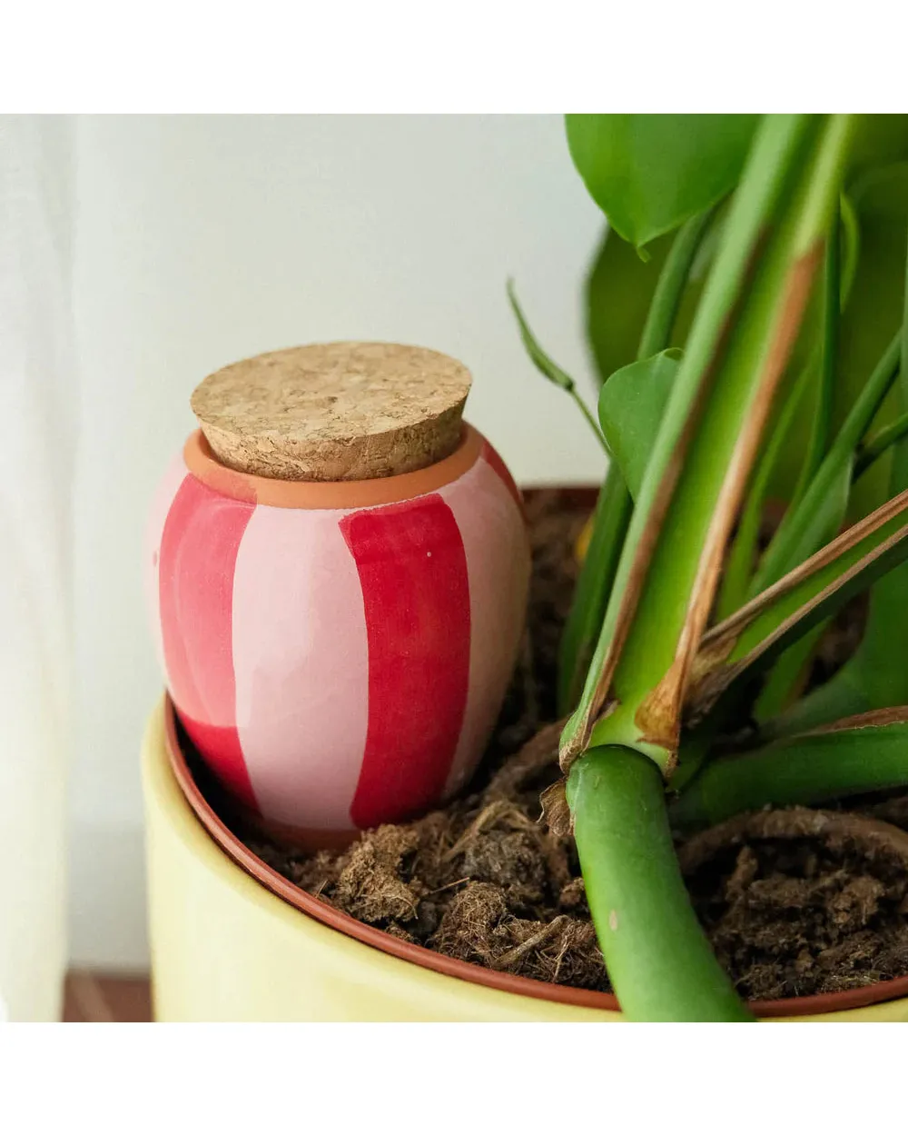 Pink & Red Stripes Olla Watering System - Image 2