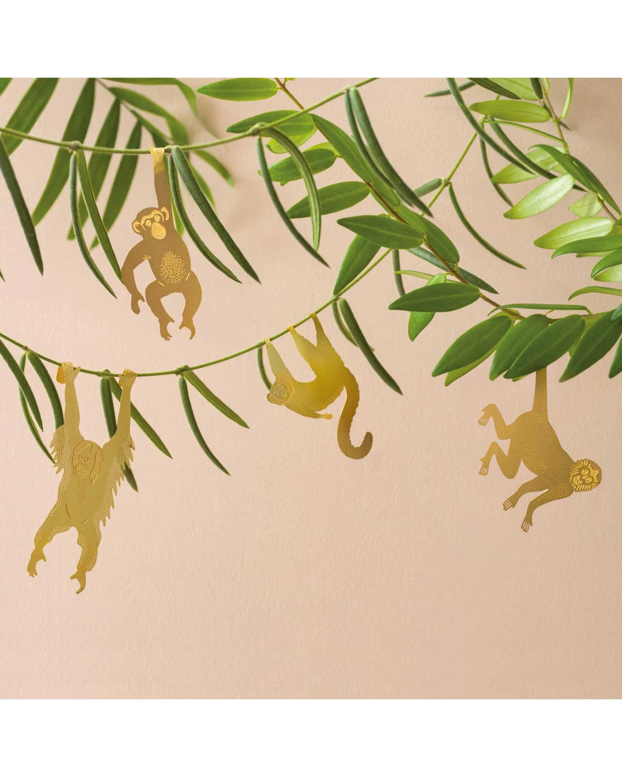 Plant Animal - Chimpanzee - Image 4