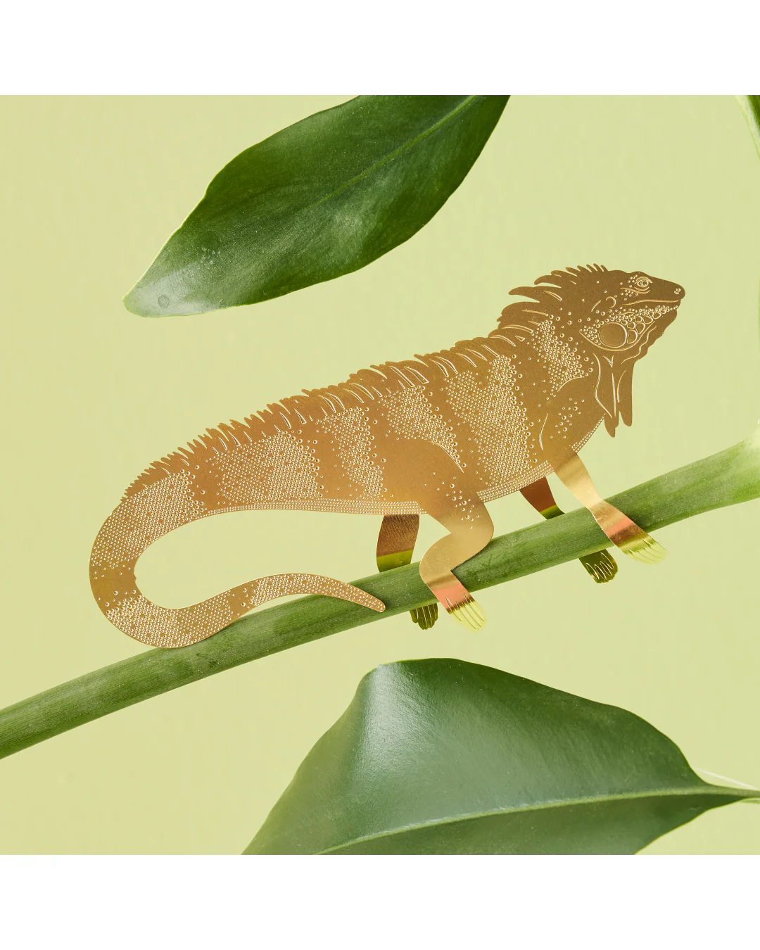 Plant Animal Iguana large - Image 3