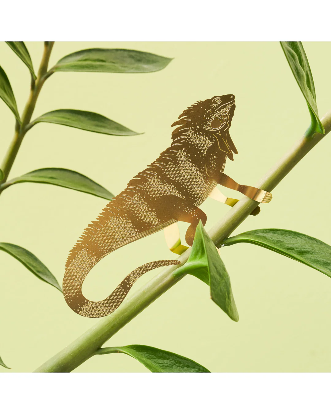 Plant Animal Iguana large - Image 7