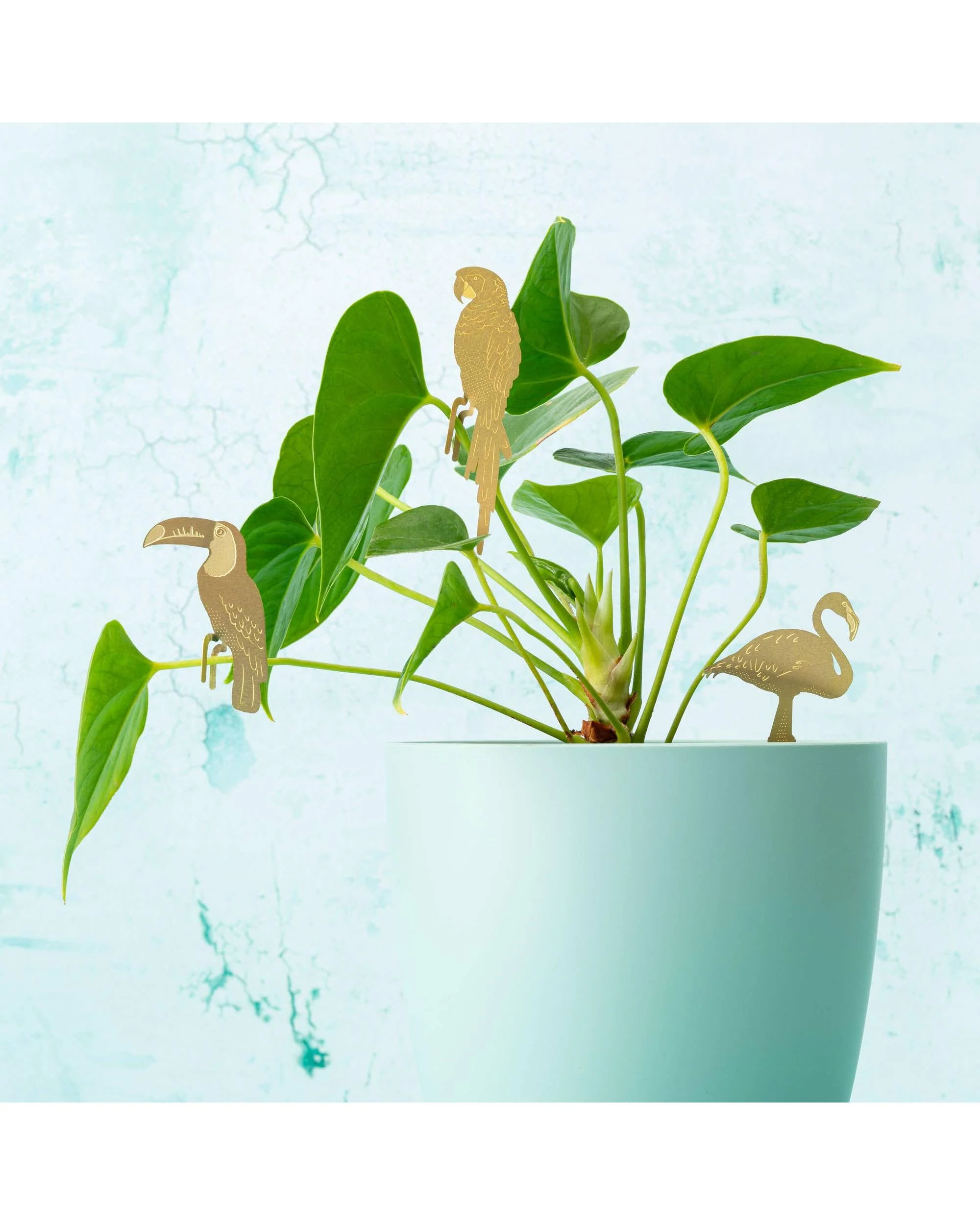 Plant Animal - Toucan - Image 4