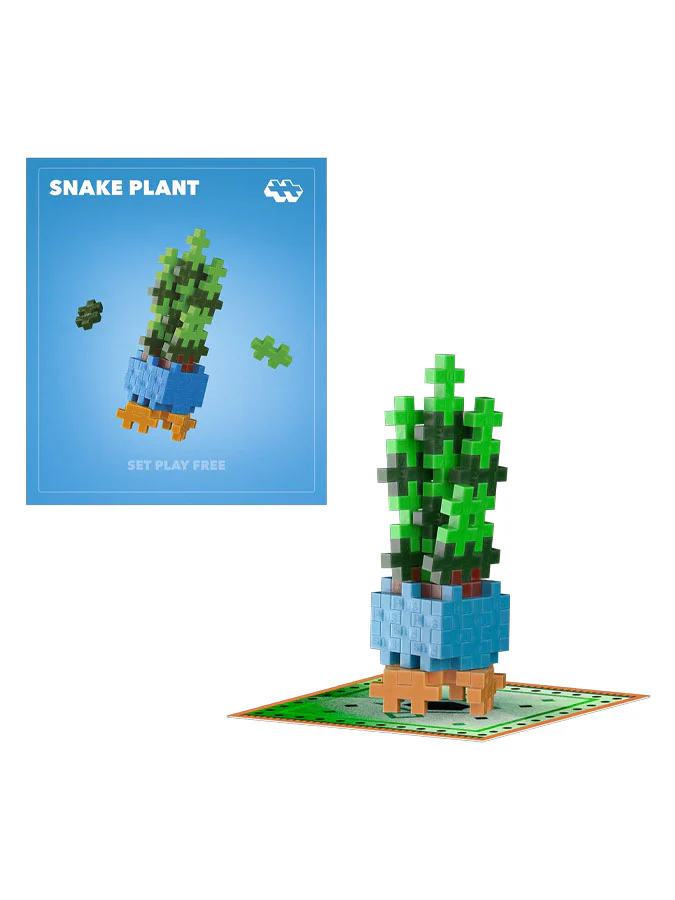 Snake Plant Puzzle Set