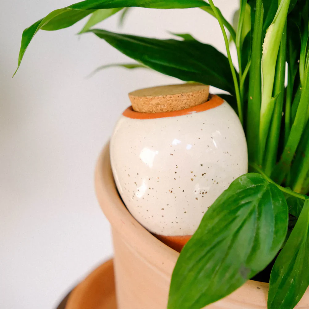 Speckled White Olla Watering System