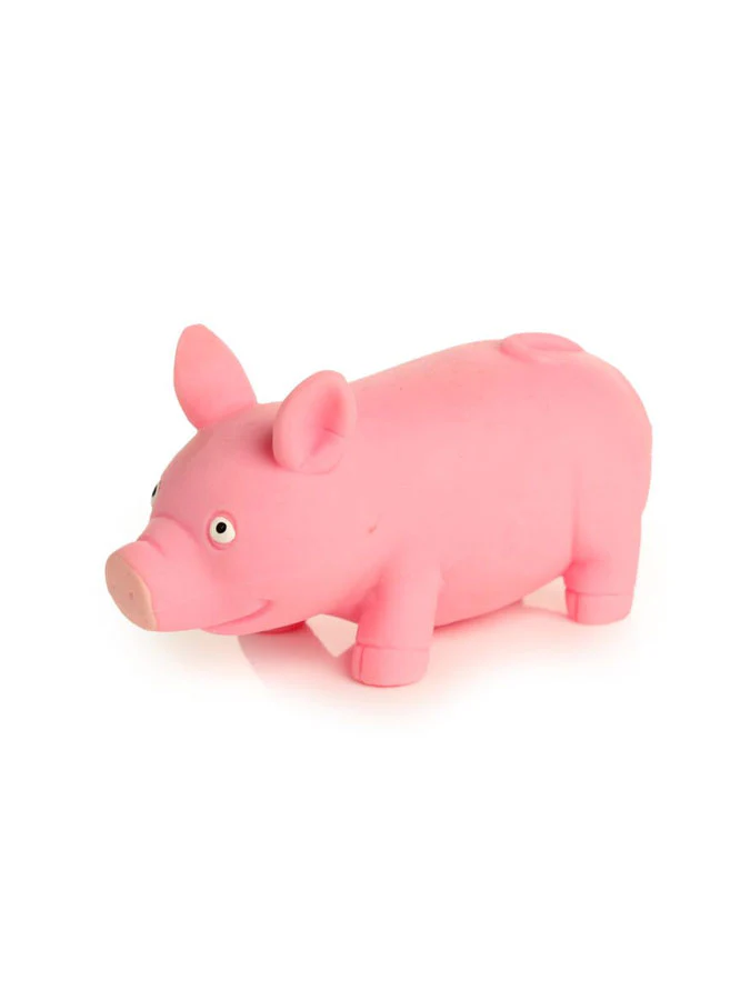 Squeezy Stretchy Pig