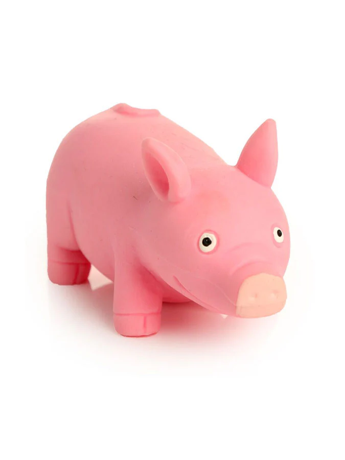 Squeezy Stretchy Pig - Image 2