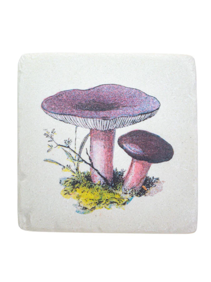 Vintage mushroom coasters - Image 3