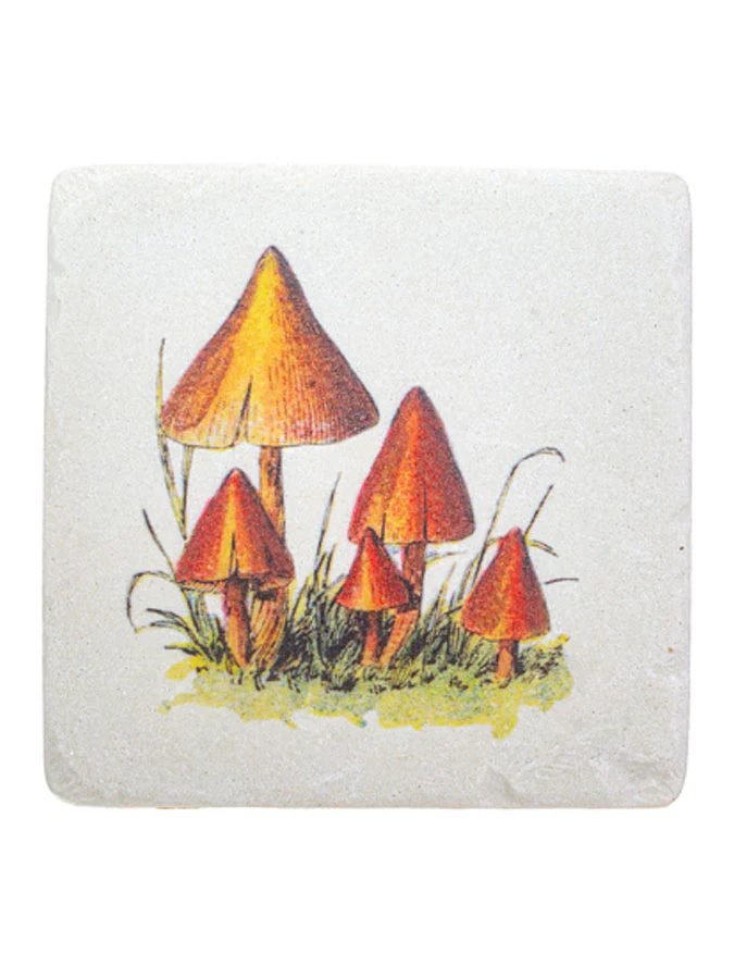 Vintage mushroom coasters - Image 4